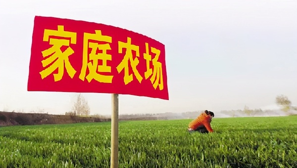 什么是家庭农场?.jpeg 什么是家庭农场?.jpeg